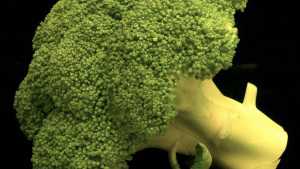 Broccoli Production Moves East