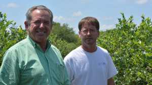 Breaking New Ground With Blueberries