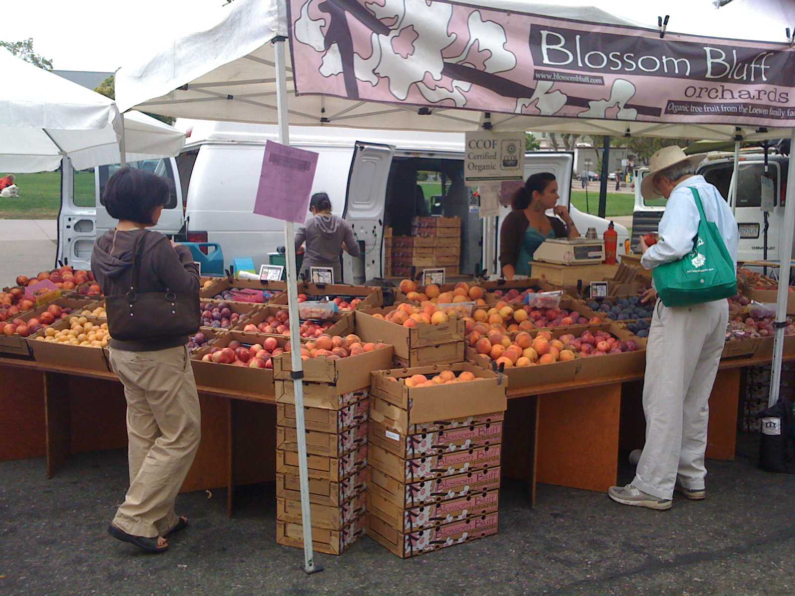 Blossom Bluff Orchards Carving A Niche