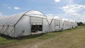 Protected Ag Proving Its Place In Florida