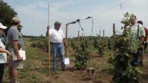 Current Wine And Juice Grape Knowledge Featured At Viticulture Field Day