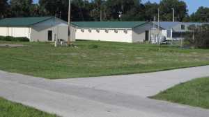 Momentum Building For Florida Citrus Nursery Segment