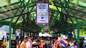 How To Market Your Farm