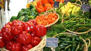 $16.8 Million In Grants Awarded To Encourage Healthy Food Purchases For SNAP Participants