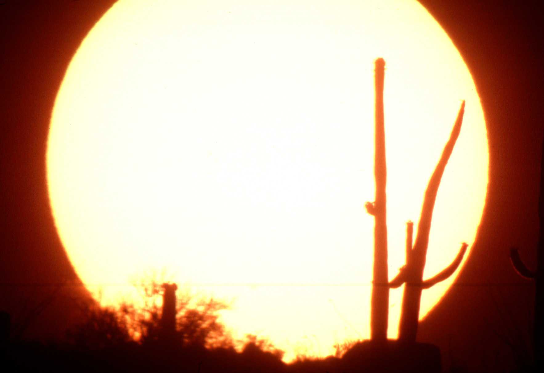 California Employers Cautioned As Heat Wave Continues