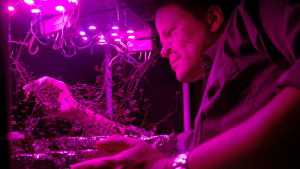 Drive Agribusiness With Science And Technology