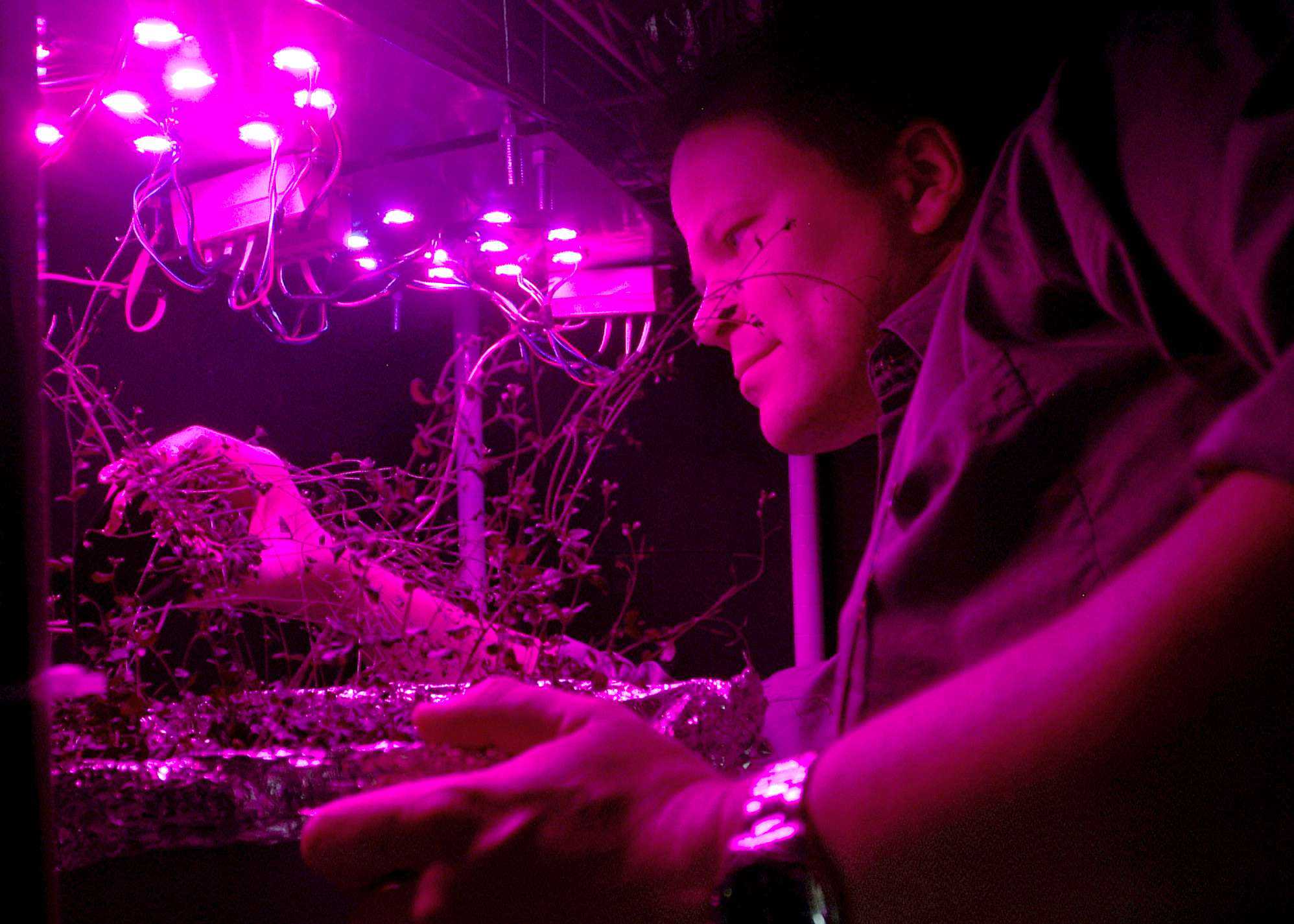 Scientists Shed New Light On Scent, Flavor Potential In Produce