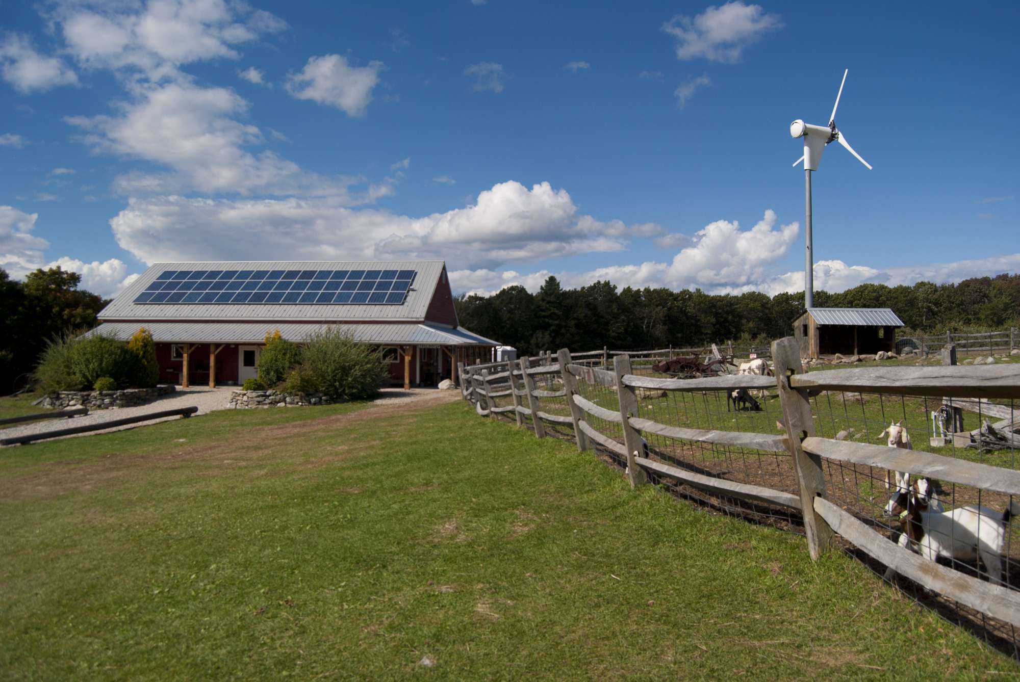 Green Energy A Smart Business Move