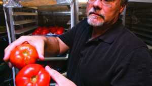 Postharvest Tips To Reduce Loss