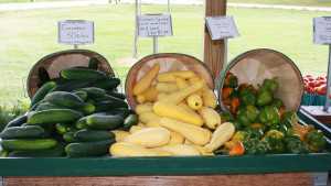 Study: ‘Local’ Vs. ‘Organic’ Food Terms Confusing Consumers