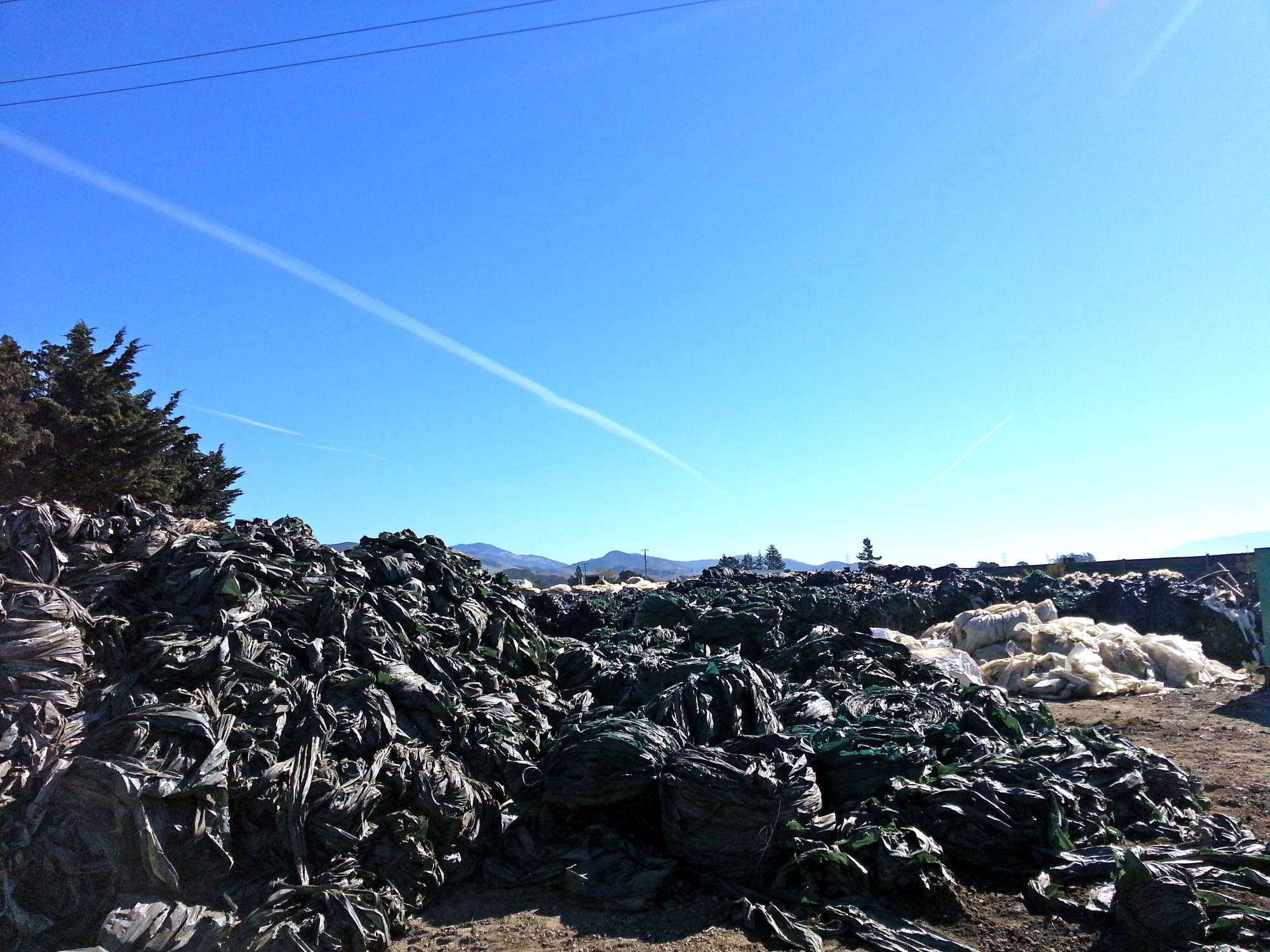 A Place For Used Plastic Mulch