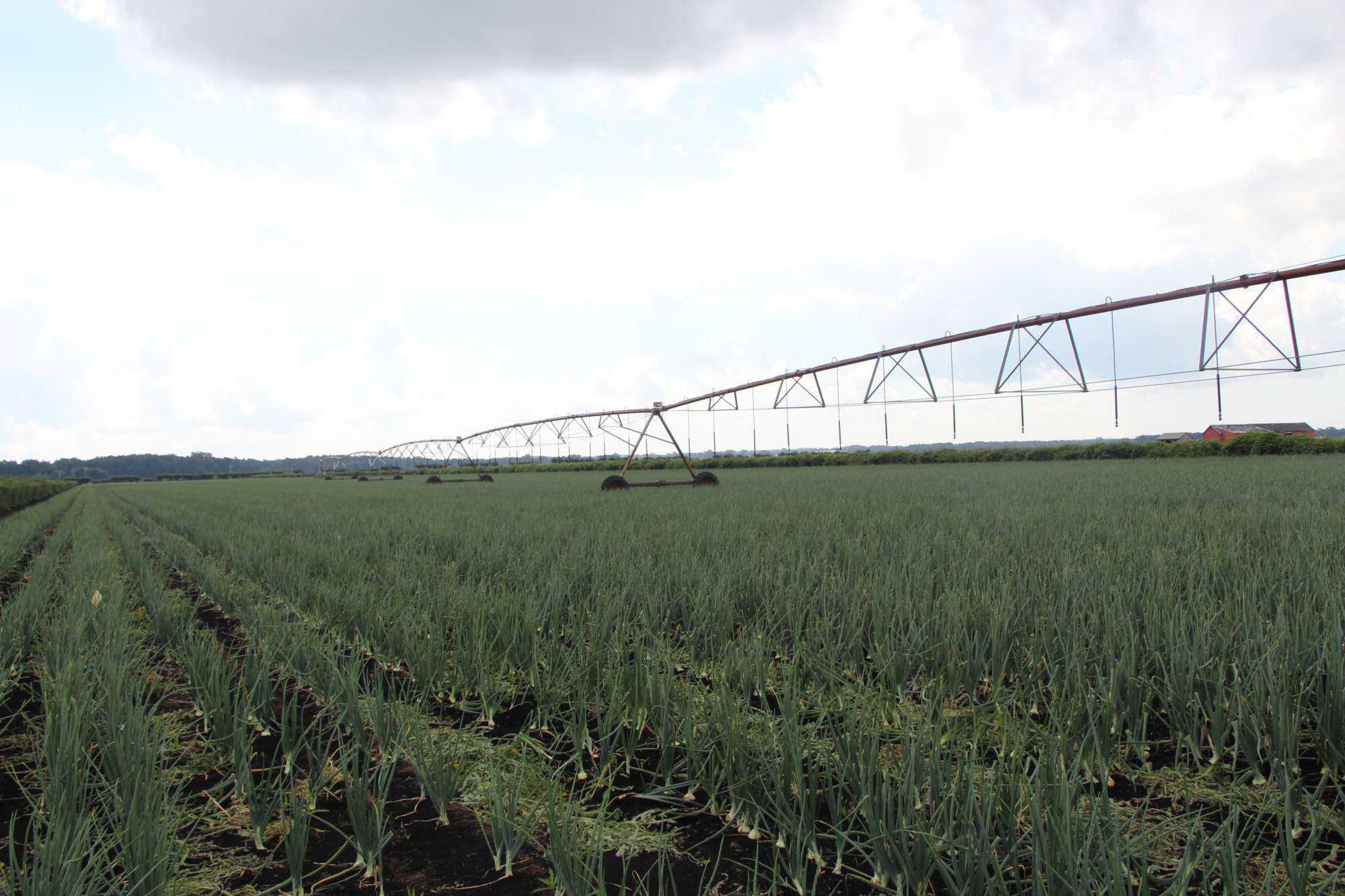 Loan Forgiveness Program For Young Growers