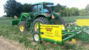 New Sweet Potato Undercutter May Reduce Skinning Injury, Speed Up Harvest