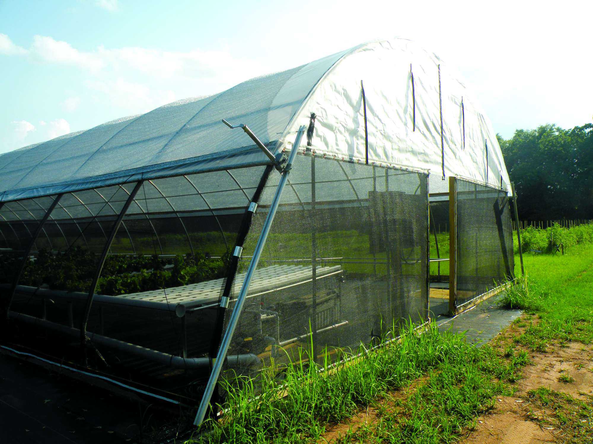 Pest Control For High Tunnels