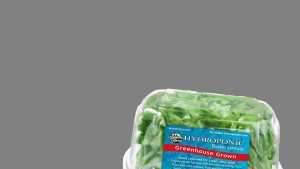 Pesticide Residue Free Certification Awarded To Tanimura & Antle Hydroponic Lettuce