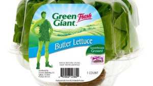 New Hydroponic Butter Lettuce Features Extended Shelf Life