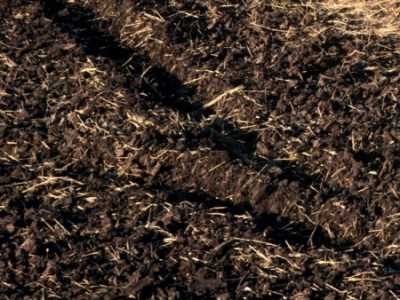 Ohio State University Fact Sheet Offers Guidance On Soil Sampling
