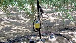 Managing Water Use With Precision Irrigation