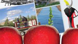2014 American Fruit Grower And American Vegetable Grower’s Product Guide Directory