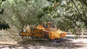 Incentives Available For Low-Emission Harvesters 