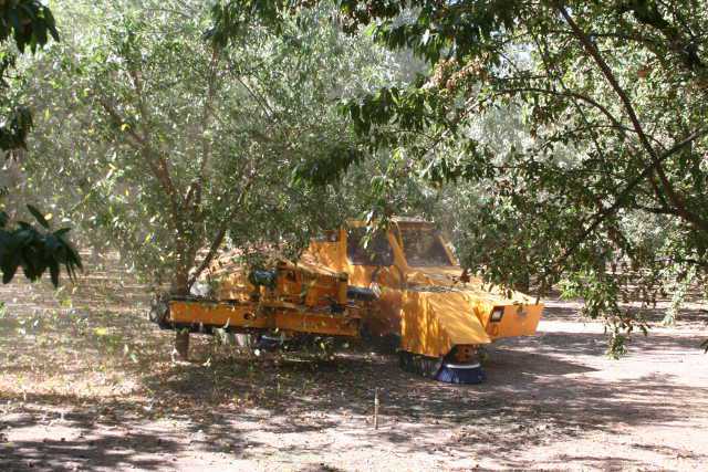 blue diamond growers zoominfo