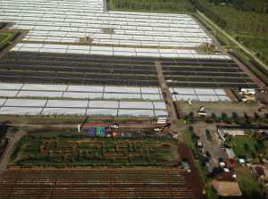 High Above The Farm
