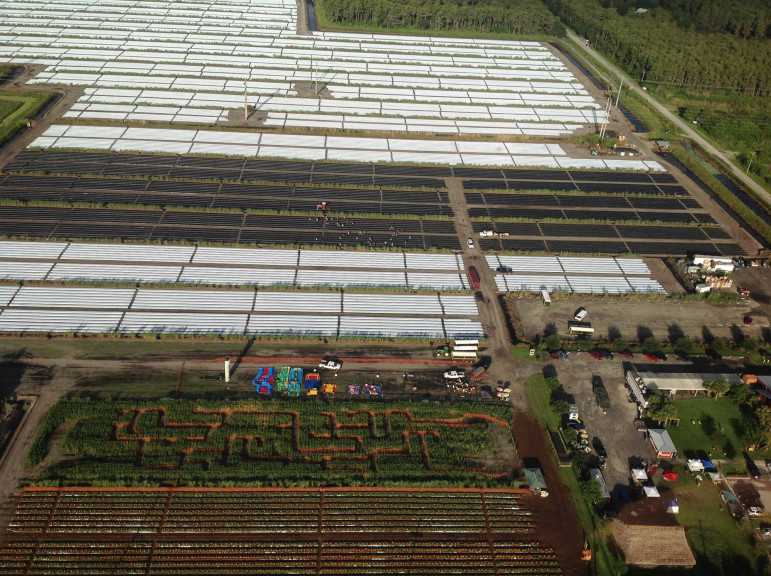 High Above The Farm