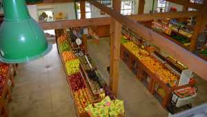 5 Breakthrough Farm Marketing Tips For Florida Growers
