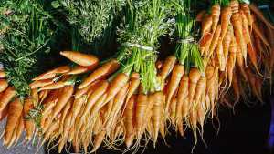 Most California Fresh Produce Samples Free Of Detectable Pesticide Residues