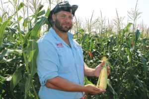 Chris Roberts highlights Summer Sweet® HiGlowMS® 7112R.