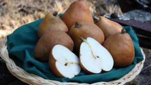 December Is National Pear Month