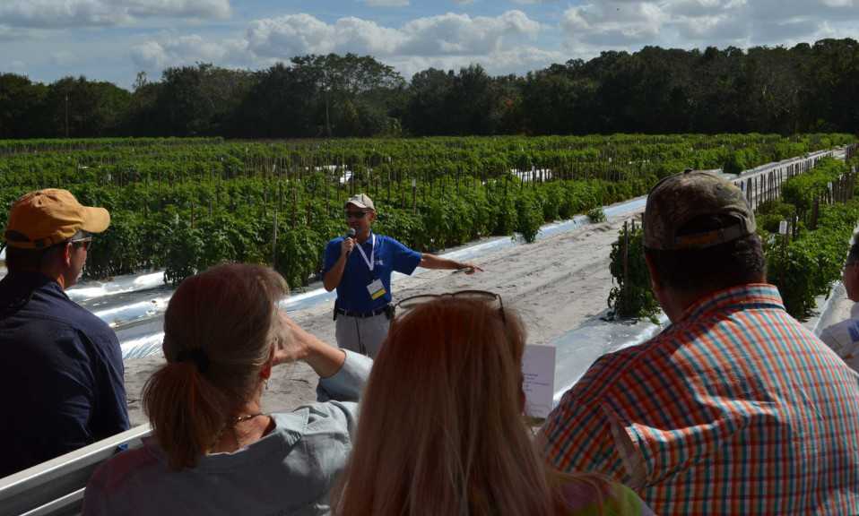 Crop Protection Lesson In The Field