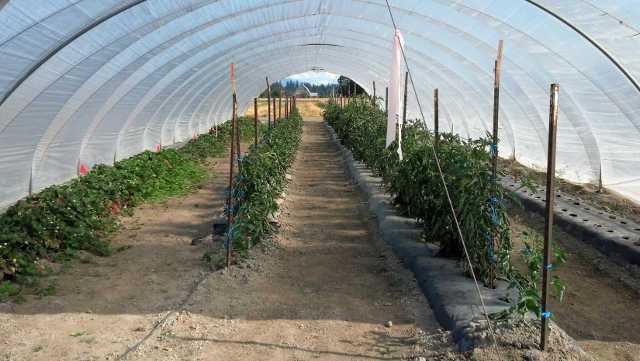 High Tunnel Workshop Accepting Applications For Training