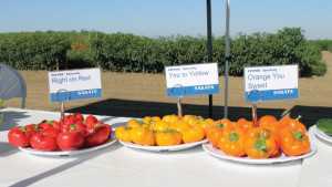 Sakata Seed America And Alf Christianson Seed Co. Announce Merger