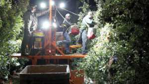 Is Nighttime The Right Time For Harvest?