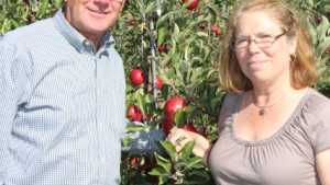 New York Apples RubyFrost And SnapDragon Getting Closer To Market