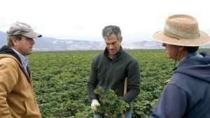 Commodity Board Research Promotes Industry Growth