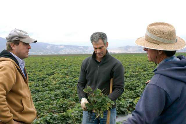 Commodity Board Research Promotes Industry Growth