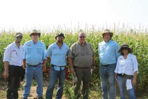 Abbott & Cobb team at the sweet corn trials in Wisconsin.