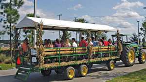 Playing To The Public Pays Off For South Florida Farm