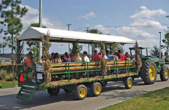 Playing To The Public Pays Off For South Florida Farm