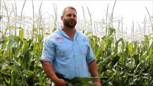 The Latest Vegetable Seed Technology A Focus For Abbott & Cobb
