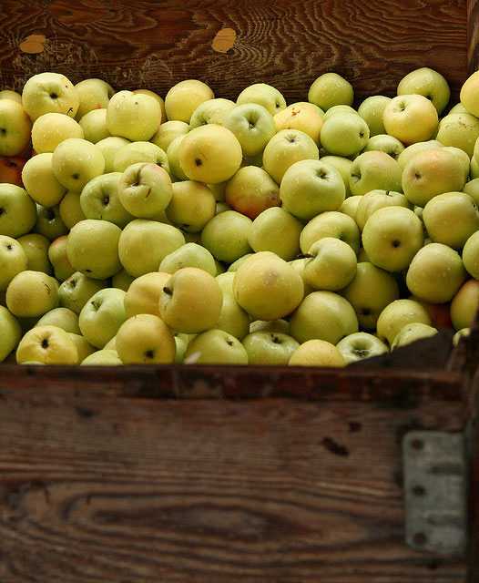 Sounding Off On Record Purchase Of Apples