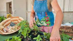 Nation’s Largest Organic Seed Conference To Take Place In Oregon