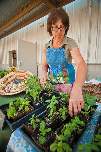 Nation’s Largest Organic Seed Conference To Take Place In Oregon