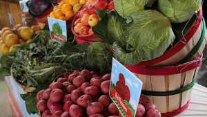 FDA To Hold Public Meeting On FSMA Preventive Controls For Human And Animal Food Final Rules