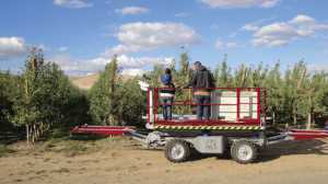 Provide Agro