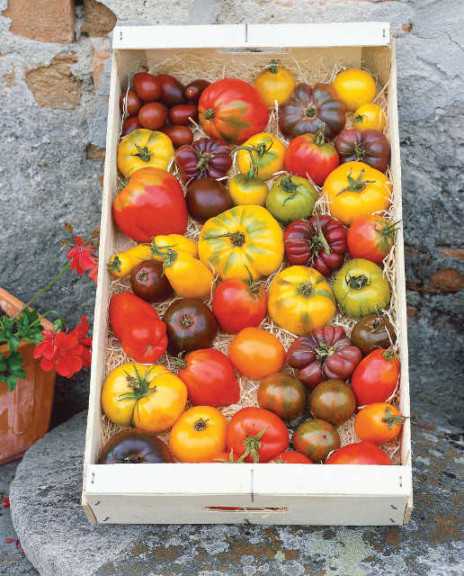 Heirloom Blend 