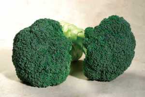 Emerald Crown
