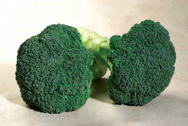 Emerald Crown